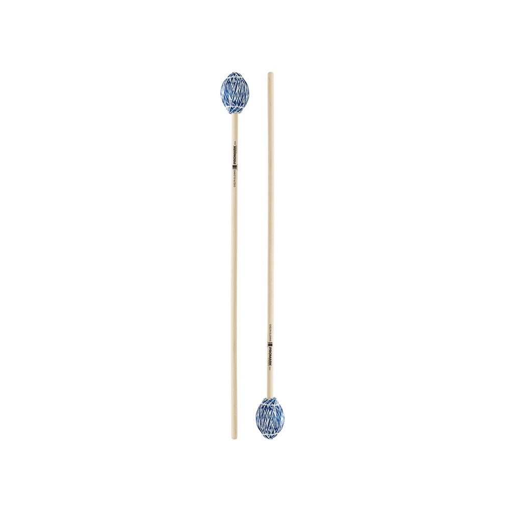 Dame Evelyn Glennie Series EG3