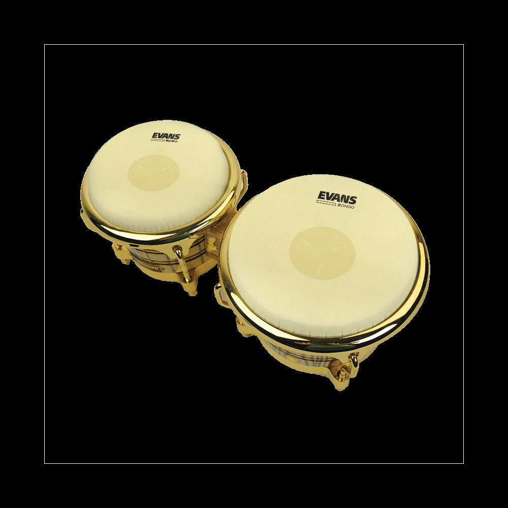 Bongo - Tri-Center