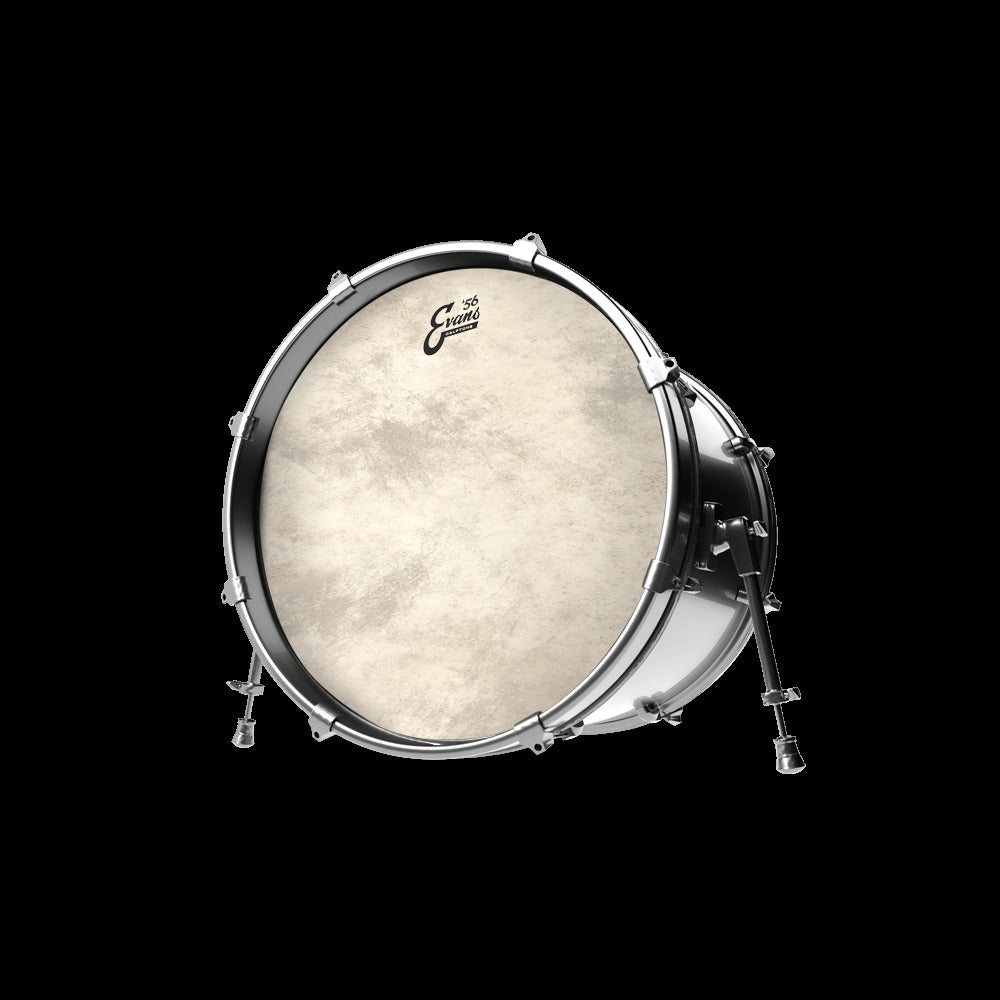 Calftone Bass Reso Drumhead