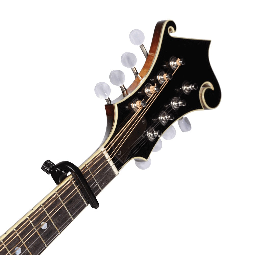 Banjo/Mandolin Pro Capo