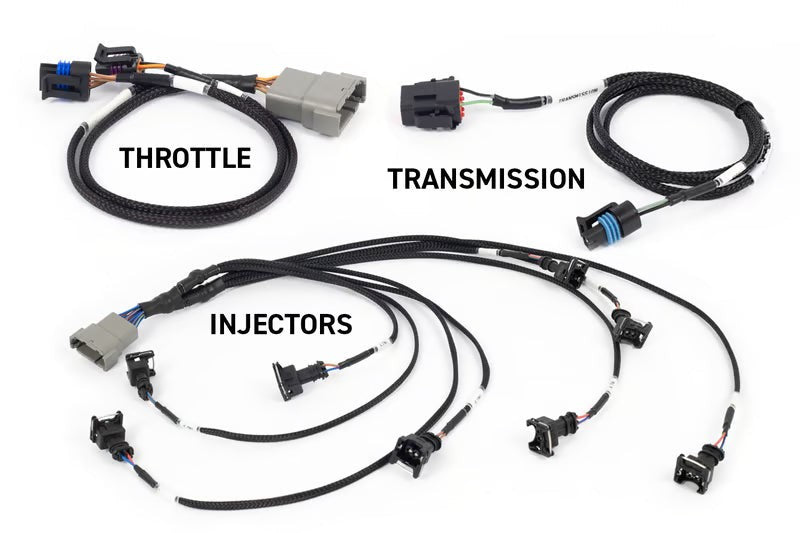 Haltech NEXUS Rebel LS | Gen III LS Engine (HT-220201)