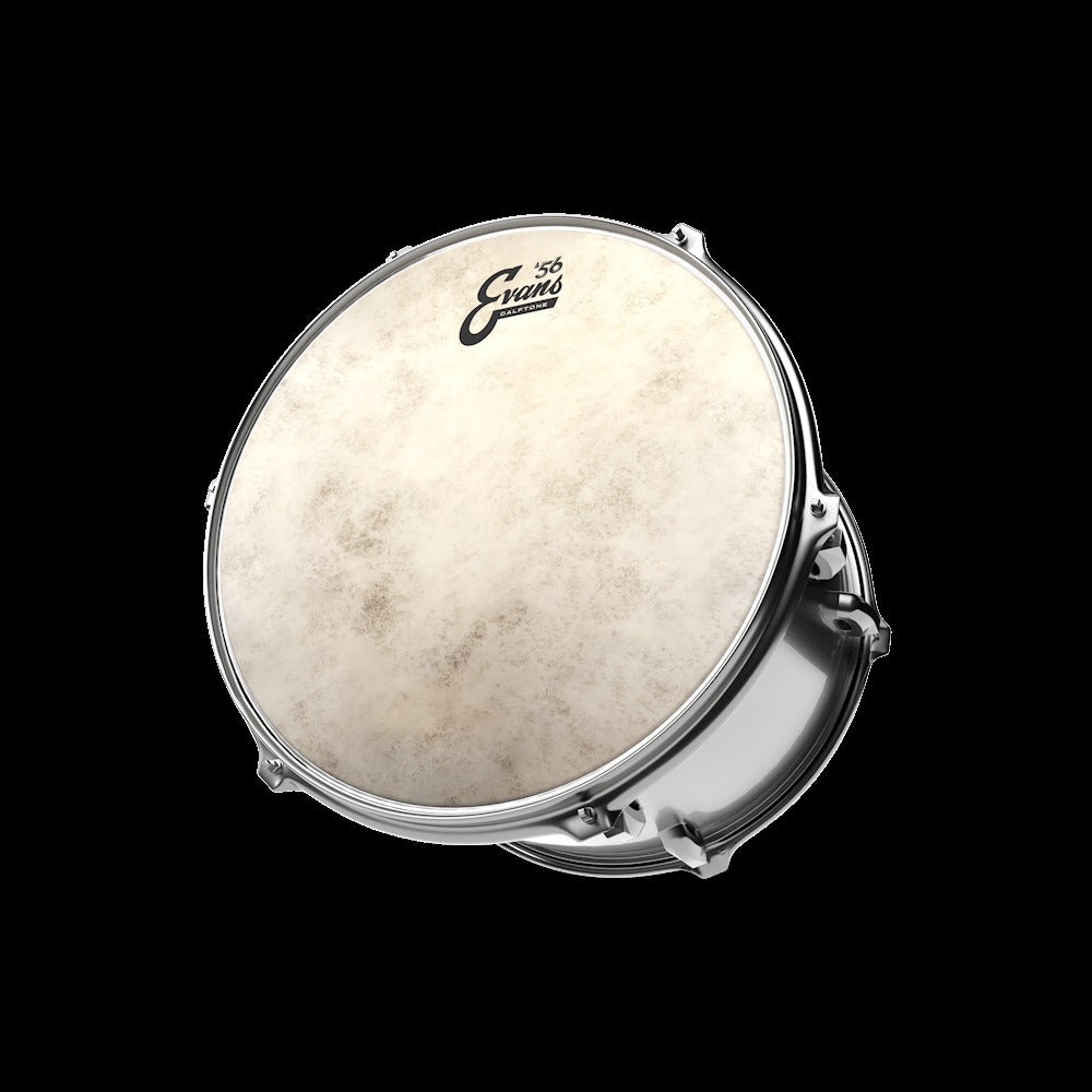 Calftone Tom Batter Drumhead