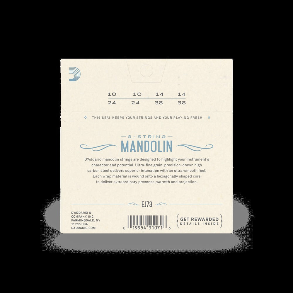 10-38 Light, Phosphor Bronze