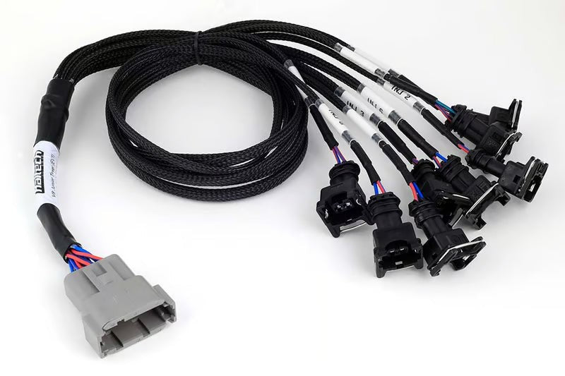 Haltech Nexus V8 Junior Timer (Ev1) Injector Primary Breakout (HT-186000)