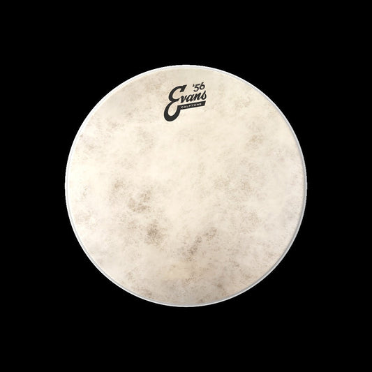 Calftone Tom Batter Drumhead