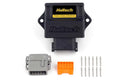 Haltech PRNDL Signal Converter | Toyota A340 (HT-038010)