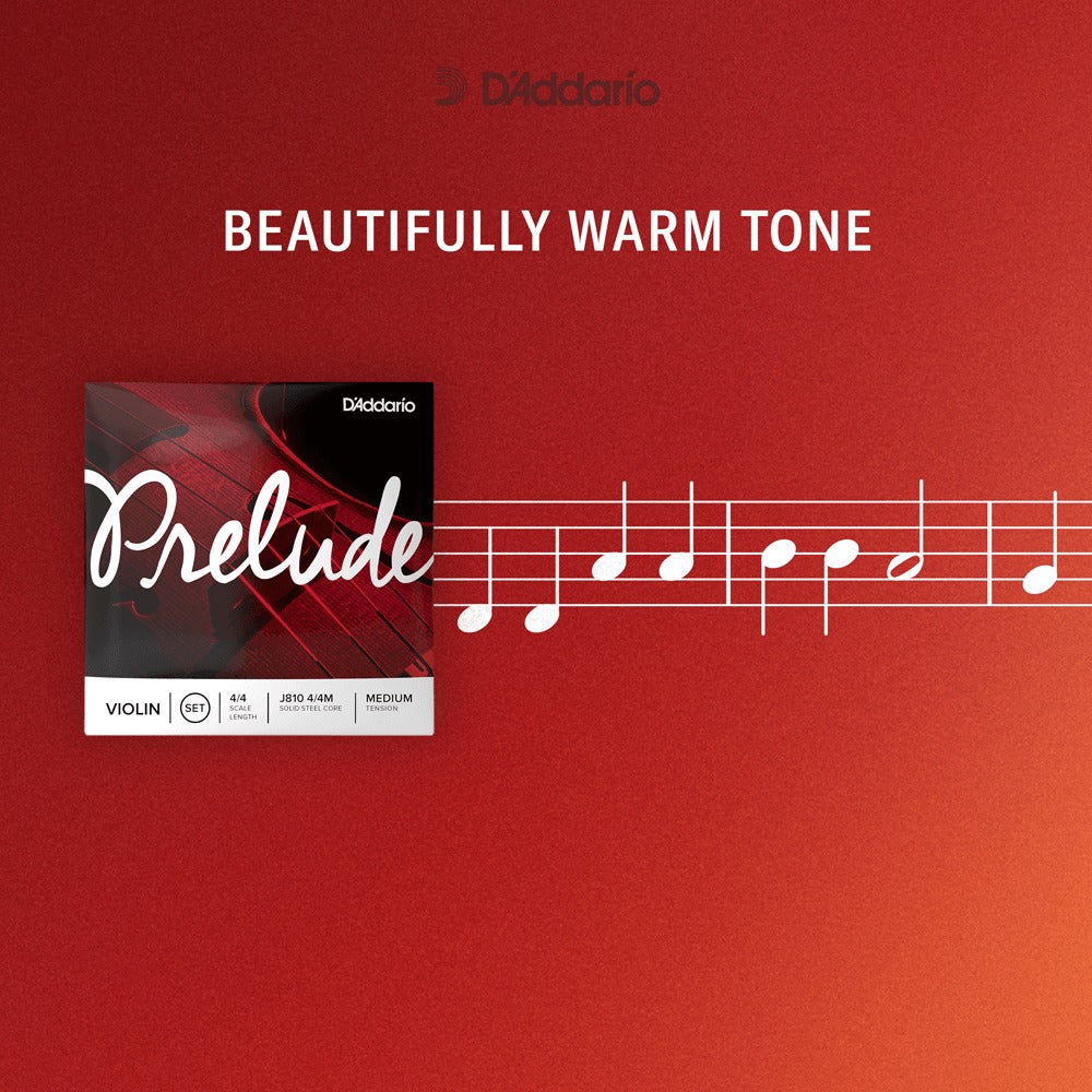 Prelude Cello String Set, 1/2 Scale, Medium Tension