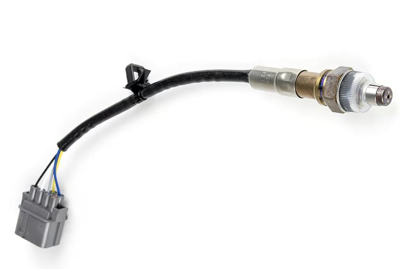 Haltech WB1 Ntk - Single Channel Can O2 Wideband Controller Kit Length: 1.2M (4Ft) | Universal (HT-159978)
