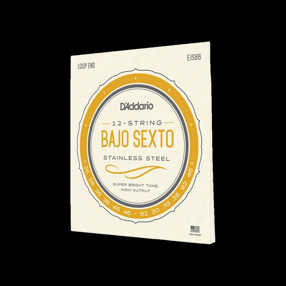 Bajo Sexto, 12 String, Stainless Steel