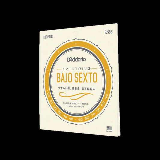 Bajo Sexto, 12 String, Stainless Steel