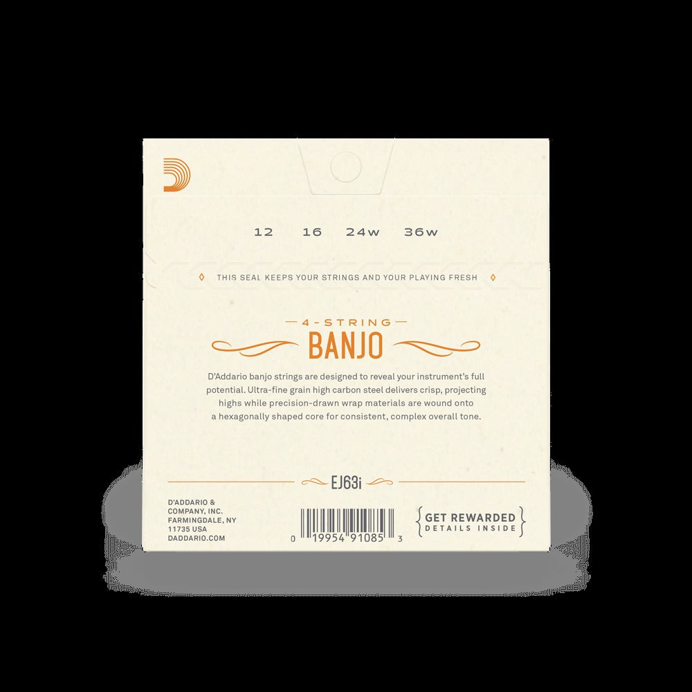 12-36 Medium, 4-String, Irish Tenor, Nickel