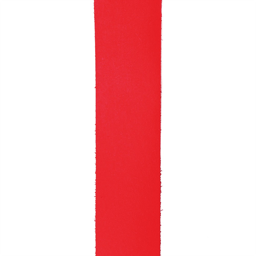 Basic Leather Guitar Strap