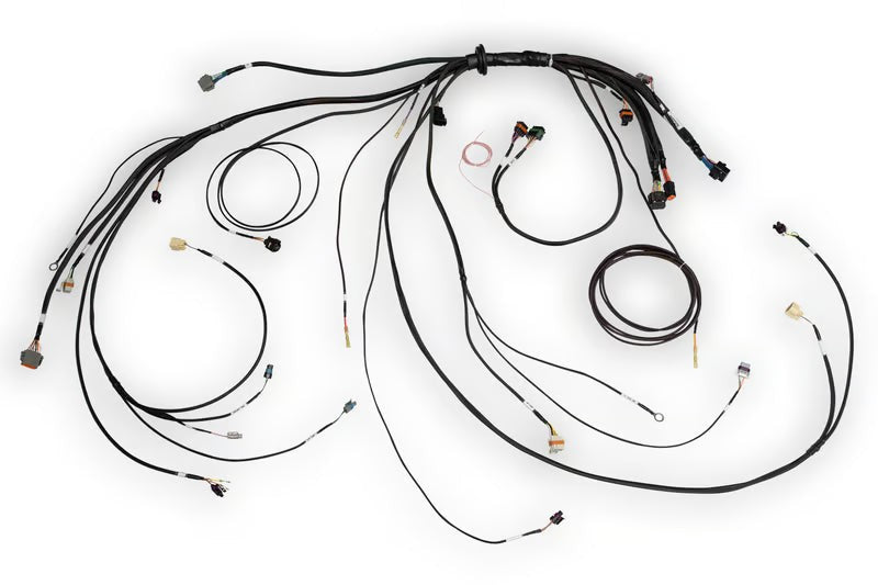 Haltech Terminated Harness | Nexus Rebel LS (HT-186500)