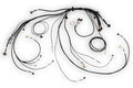 Haltech Terminated Harness | Nexus Rebel LS (HT-186500)