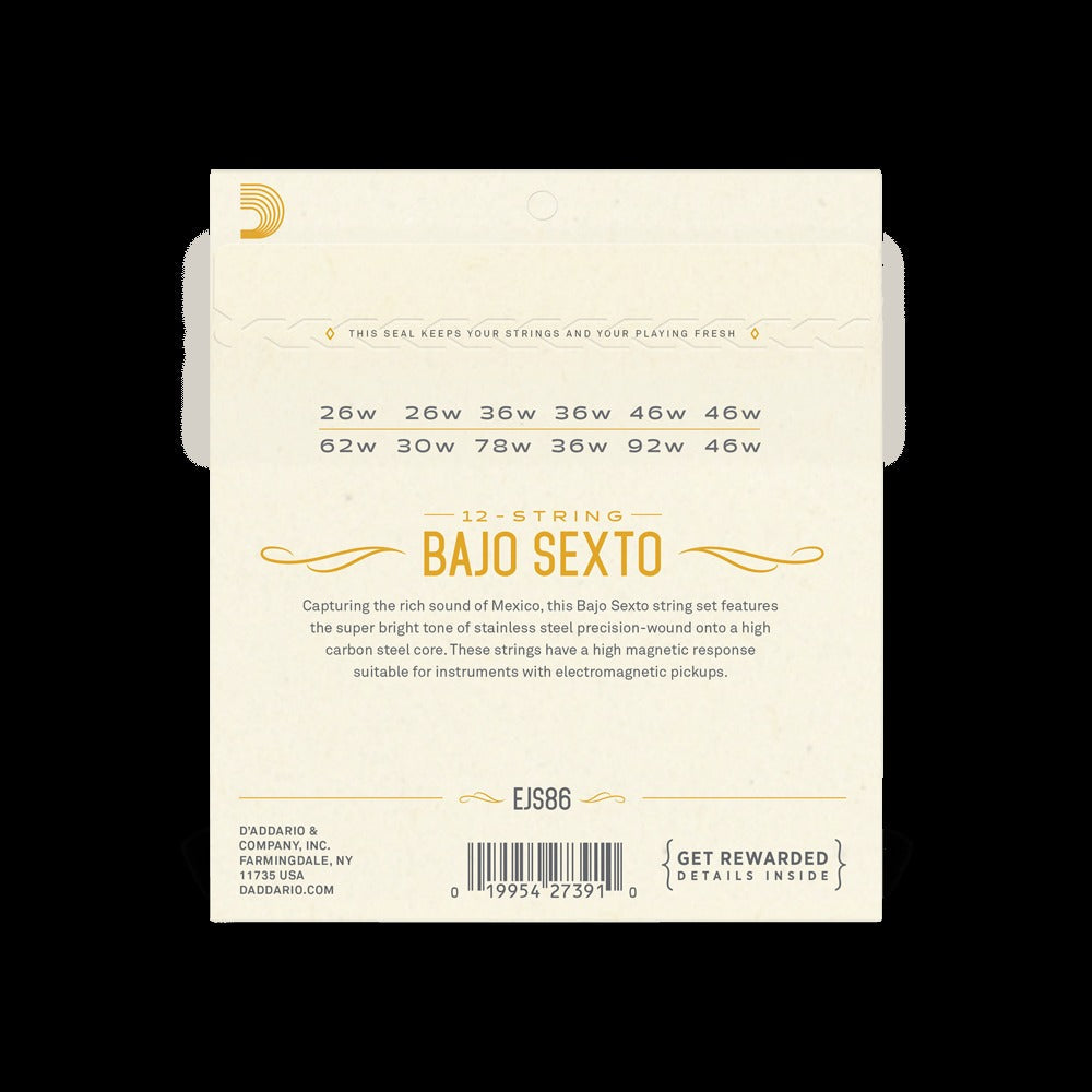 Bajo Sexto, 12 String, Stainless Steel