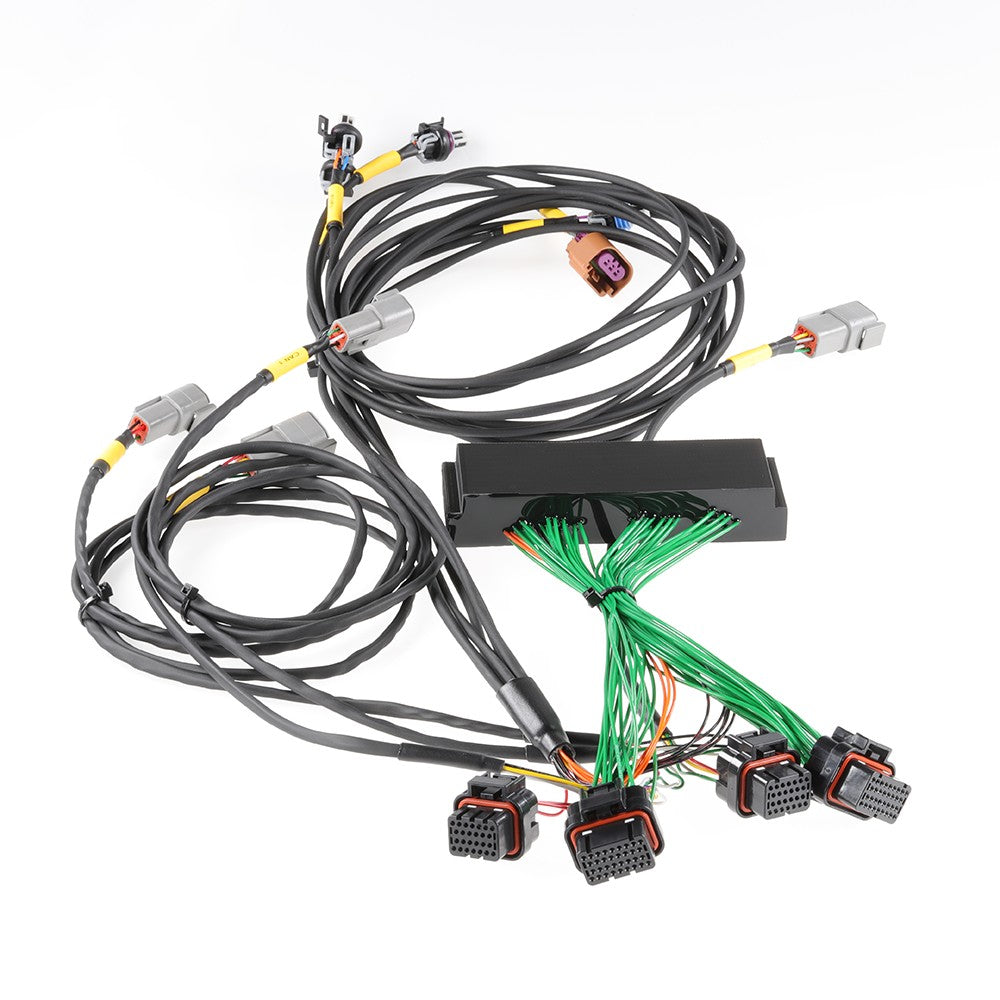 Boomslang Plug and Play Harness Kit for Haltech Nexus R3 | 2009-2011 Mazda RX-8 (M/T) (BF29217-R3)